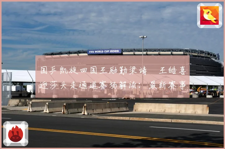 国乒凯旋回国王励勤梁靖崑王皓喜迎莎头走通道赛场解读：最新赛事动态与深度分析